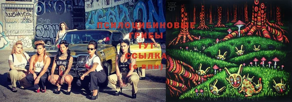 не бодяженный Новозыбков