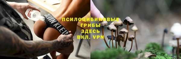 не бодяженный Новозыбков